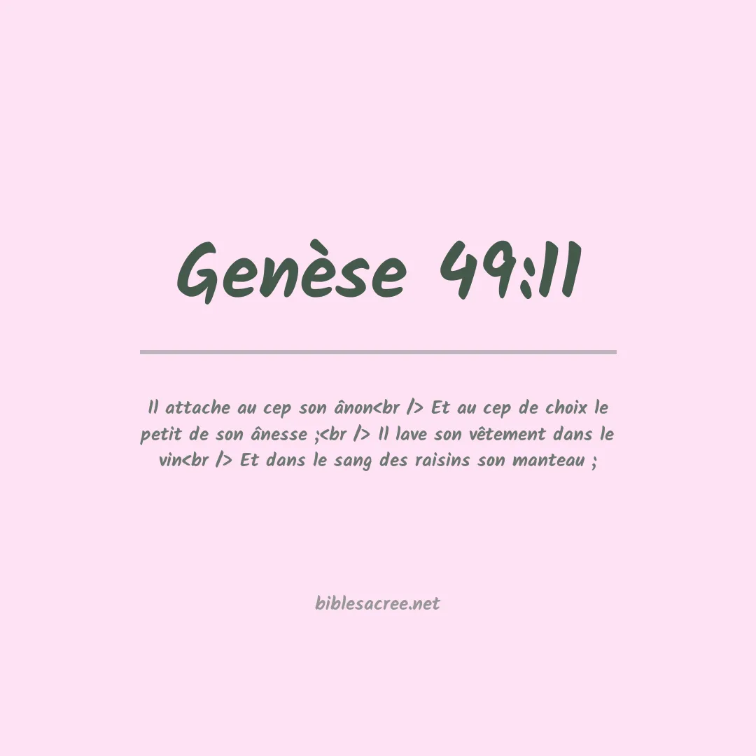 Genèse - 49:11
