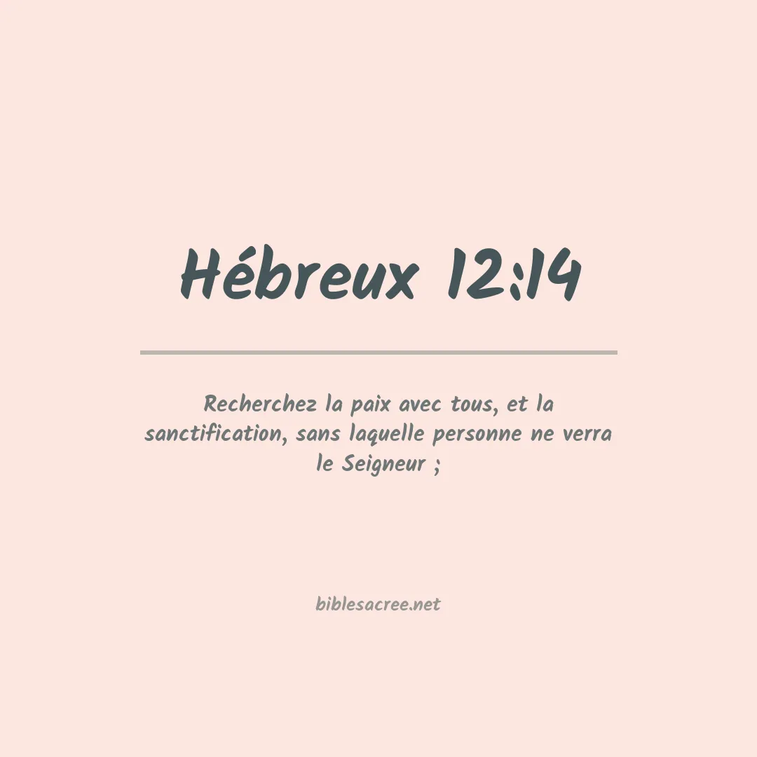 Hébreux - 12:14