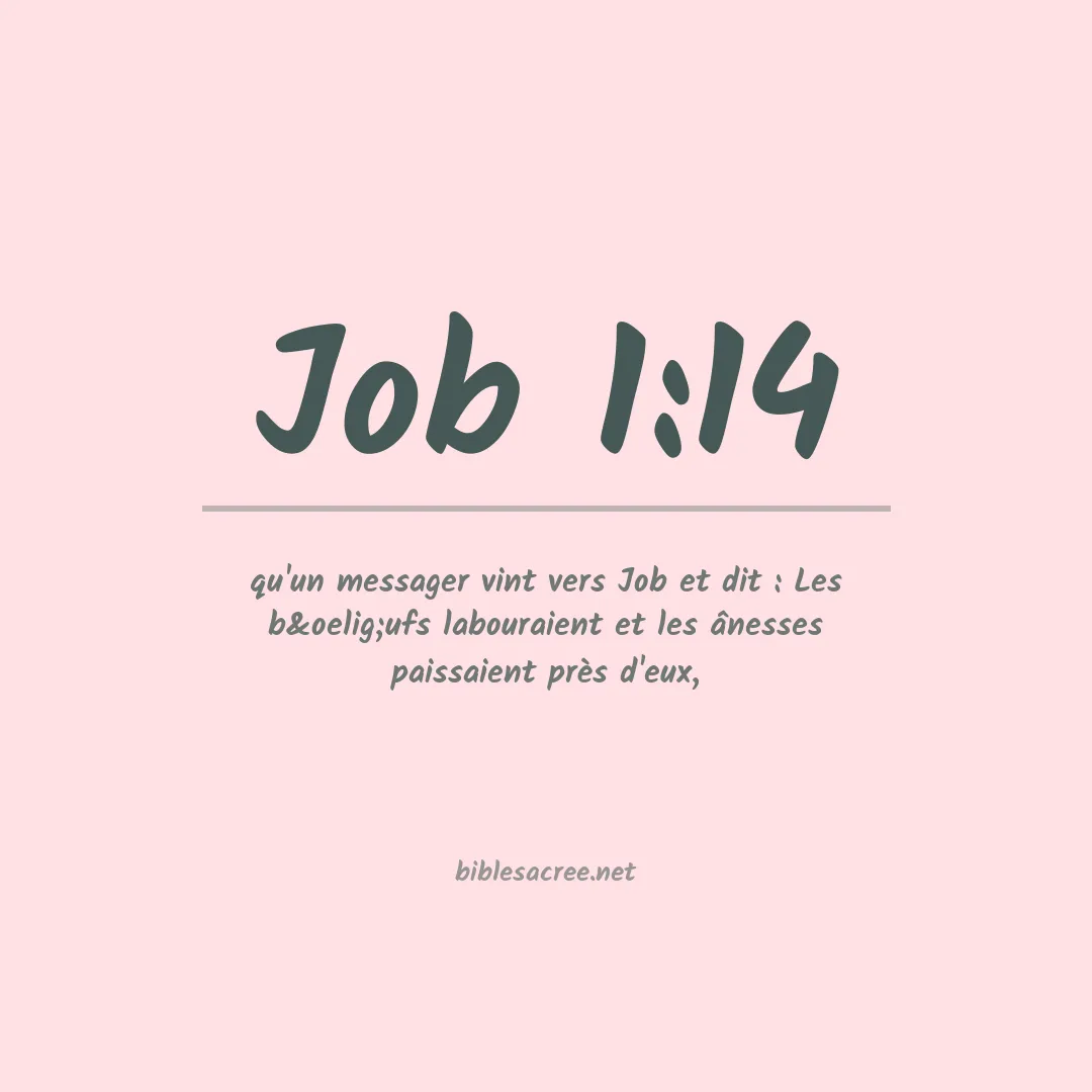 Job - 1:14