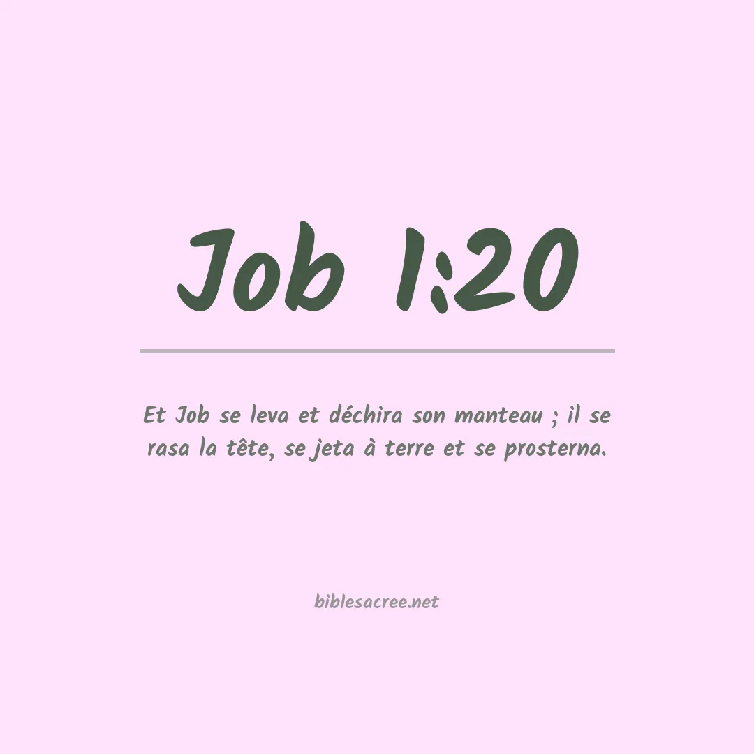 Job - 1:20