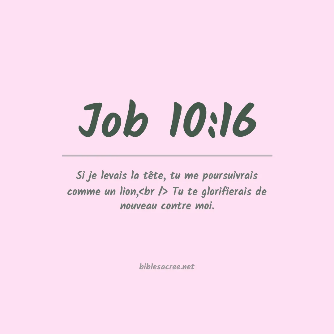 Job - 10:16