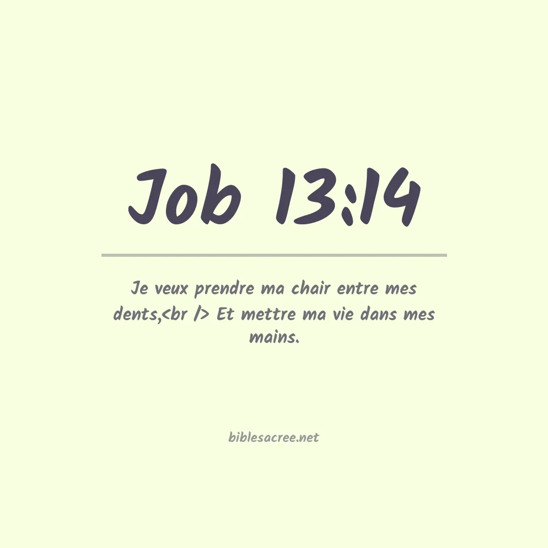 Job - 13:14