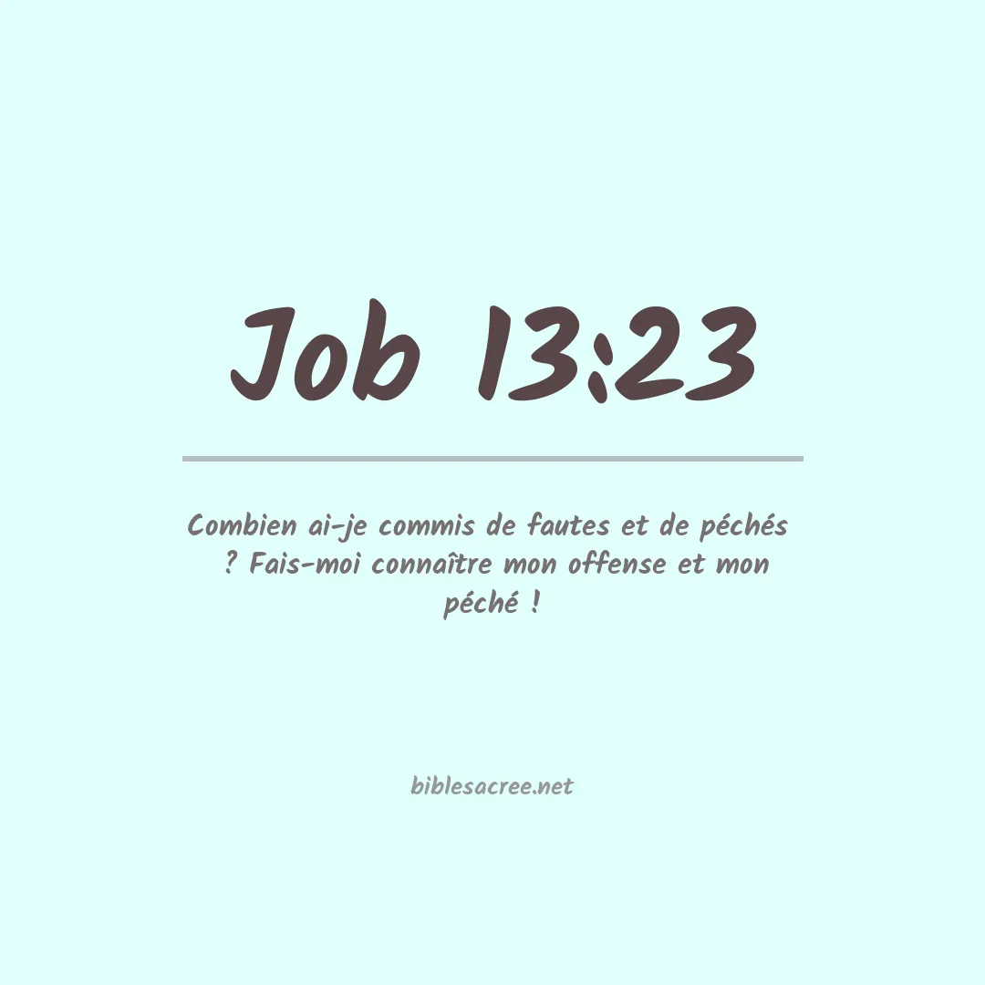 Job - 13:23