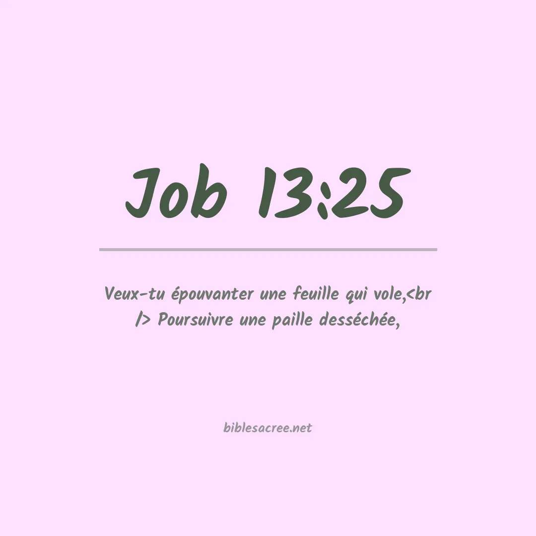 Job - 13:25