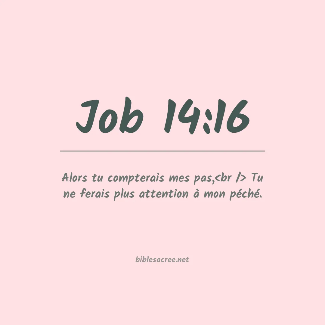 Job - 14:16