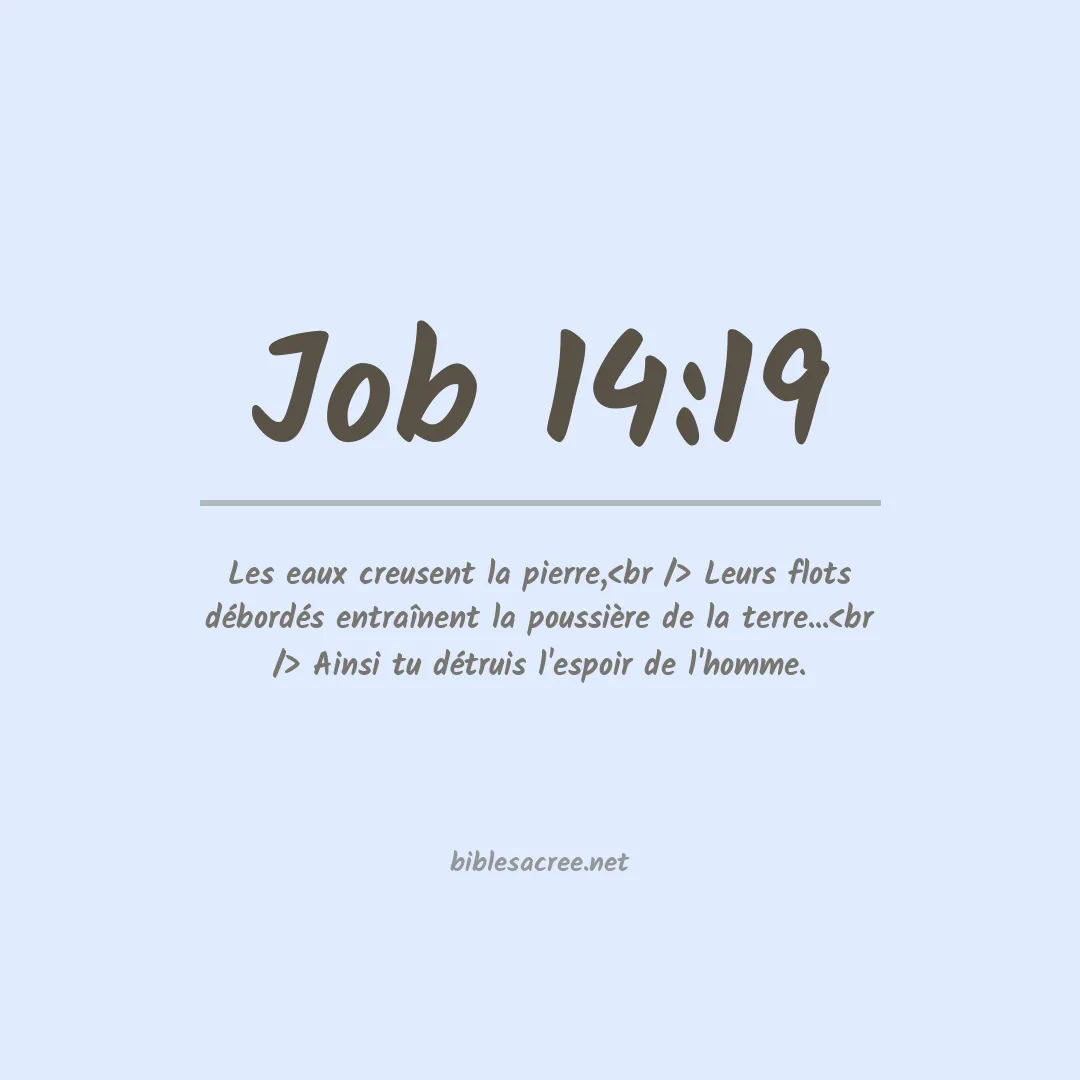 Job - 14:19