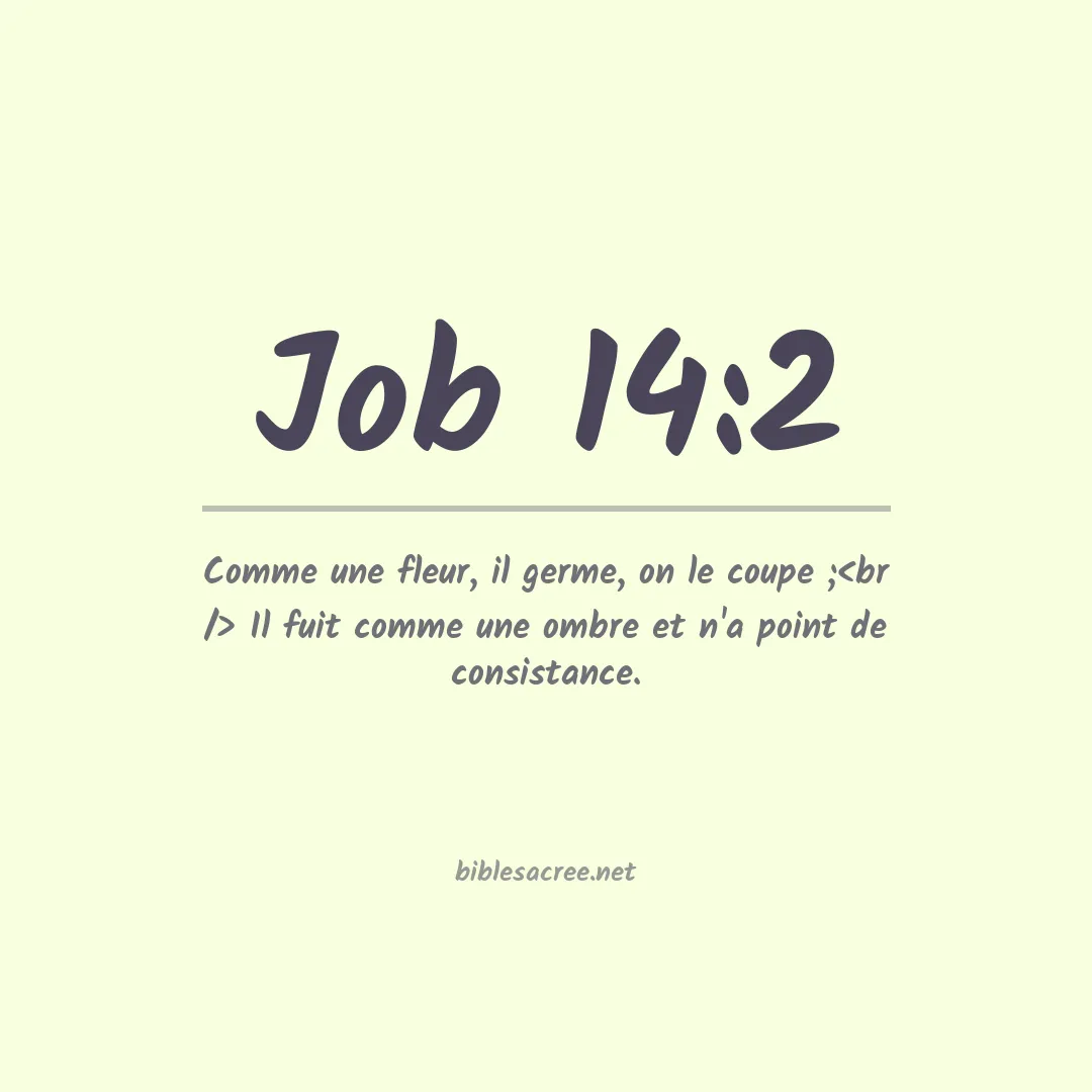 Job - 14:2