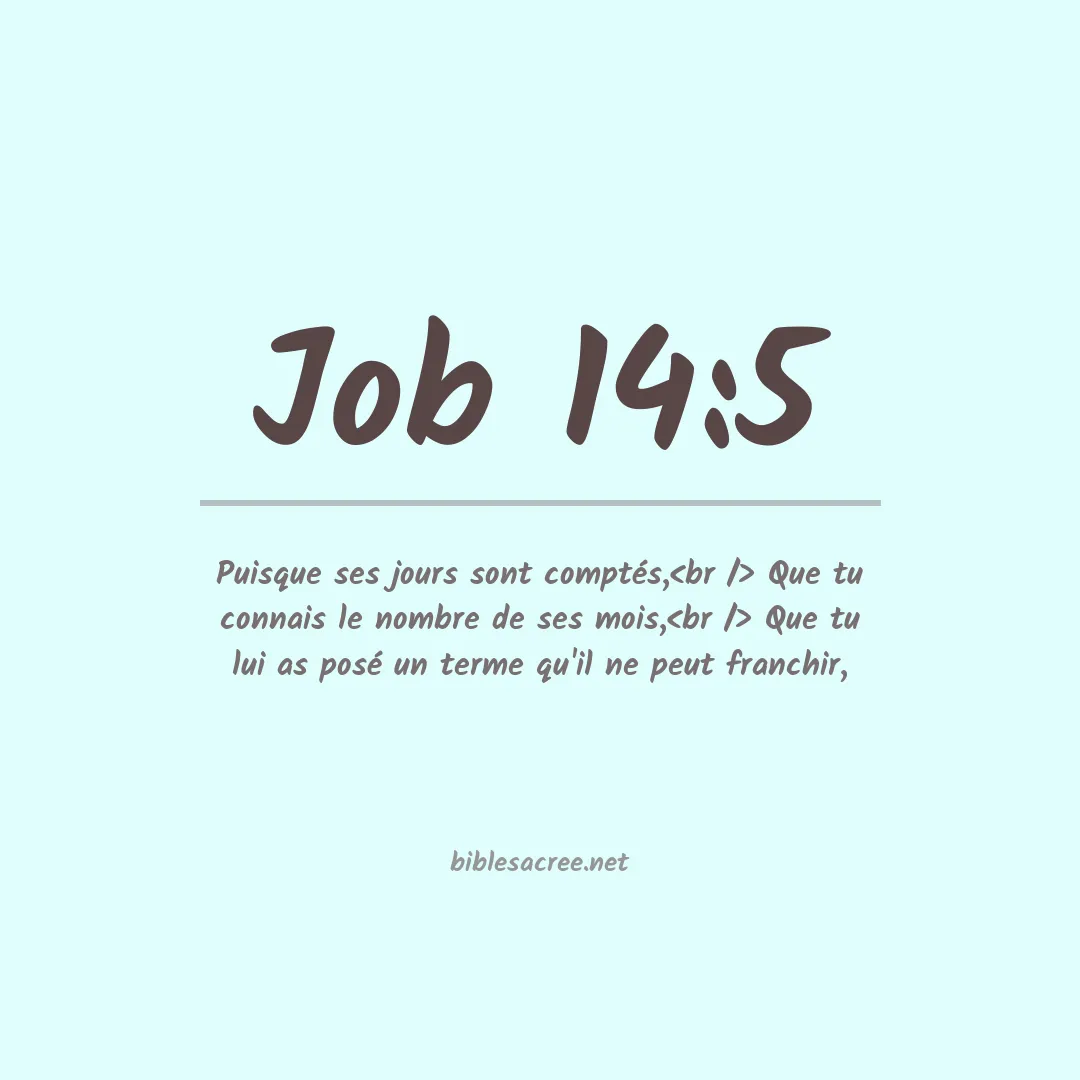 Job - 14:5