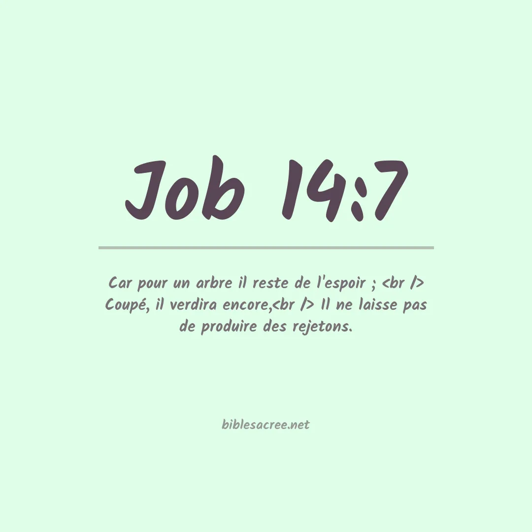 Job - 14:7