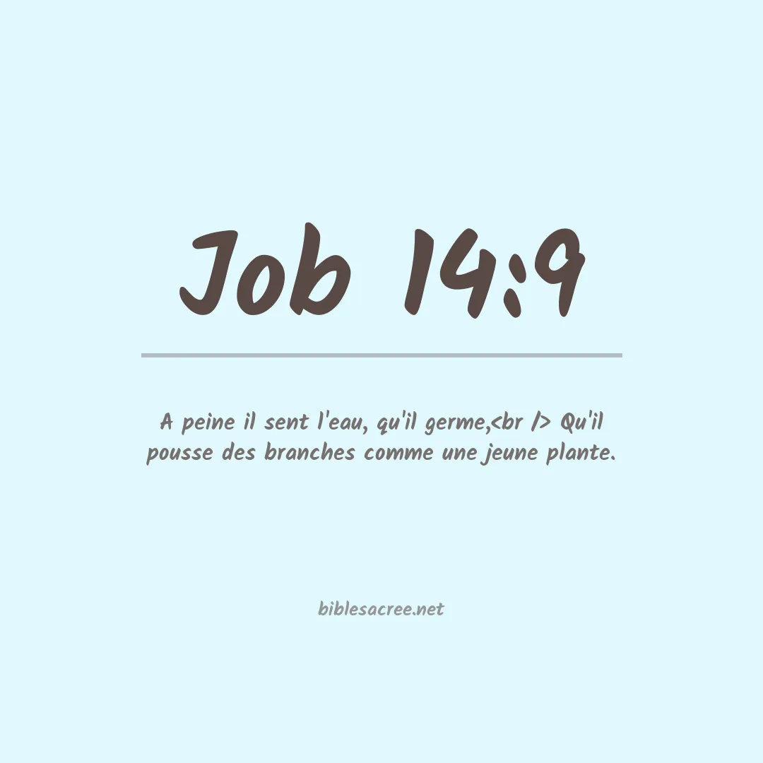 Job - 14:9
