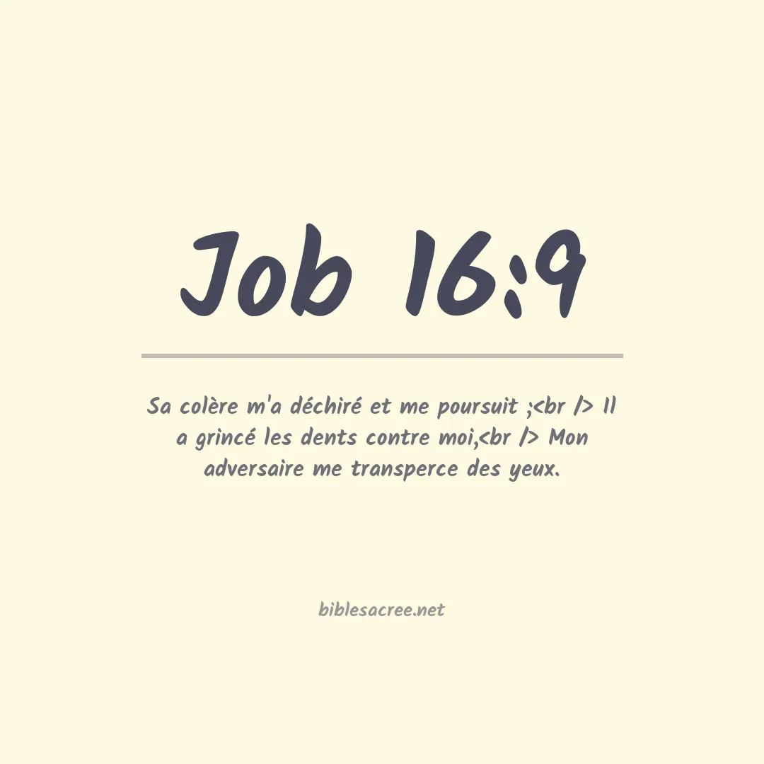 Job - 16:9