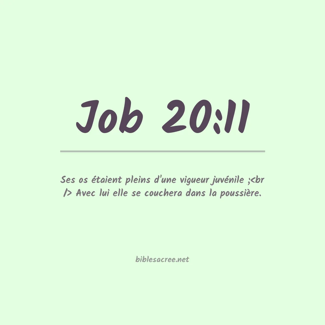 Job - 20:11
