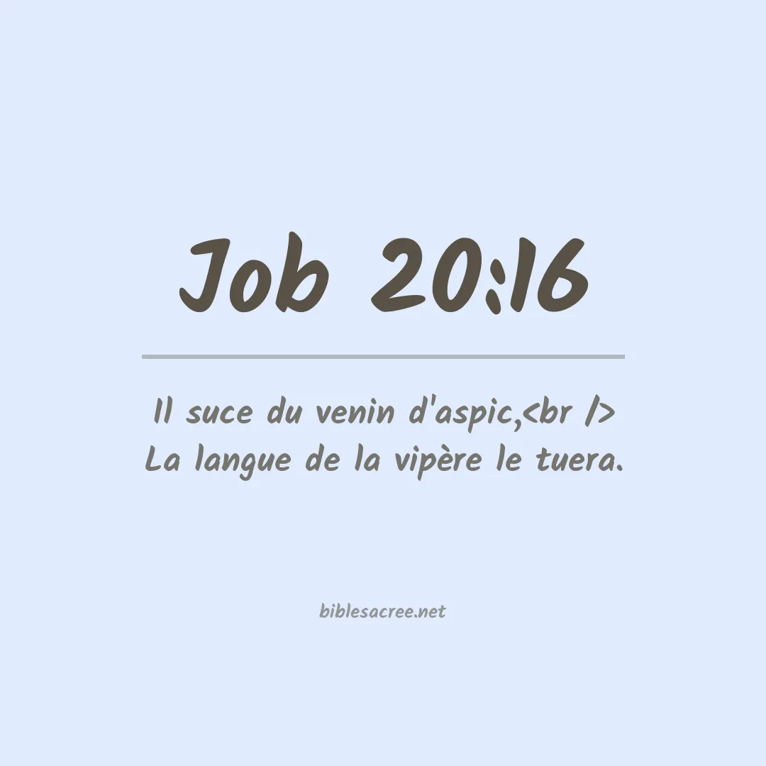 Job - 20:16
