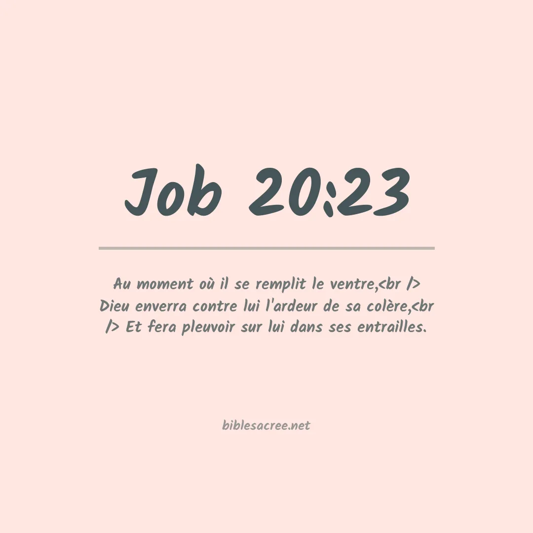 Job - 20:23