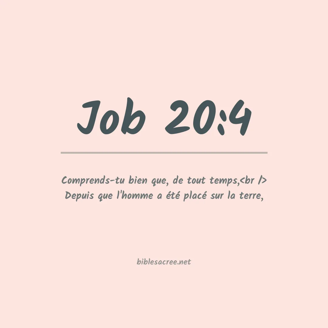 Job - 20:4