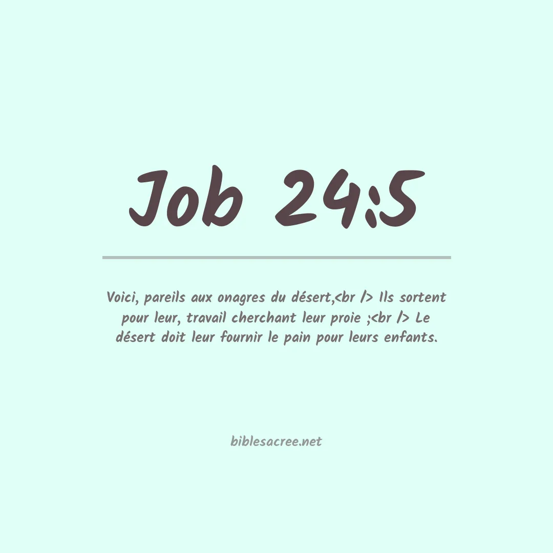 Job - 24:5