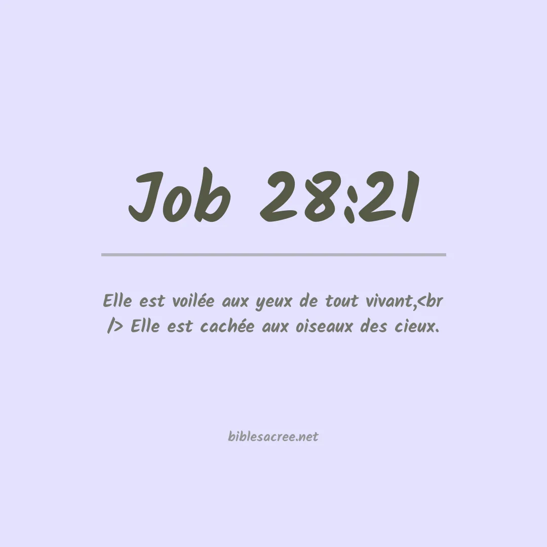 Job - 28:21