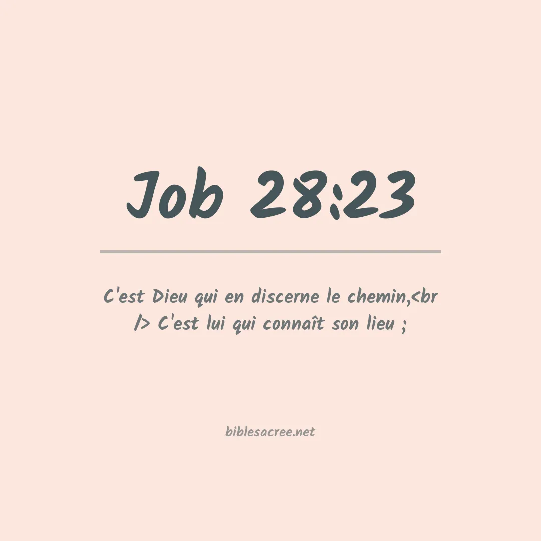 Job - 28:23
