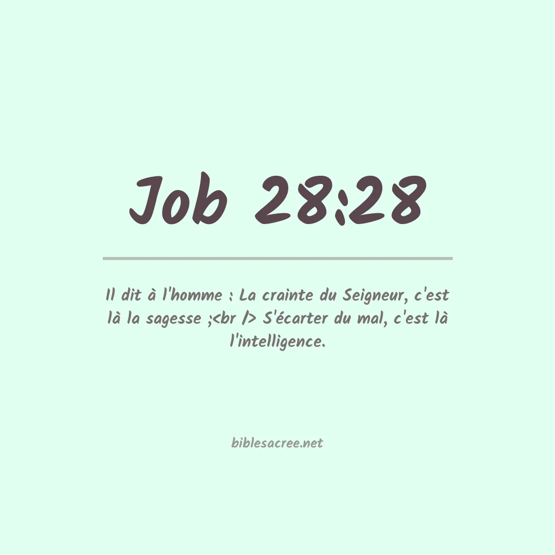 Job - 28:28