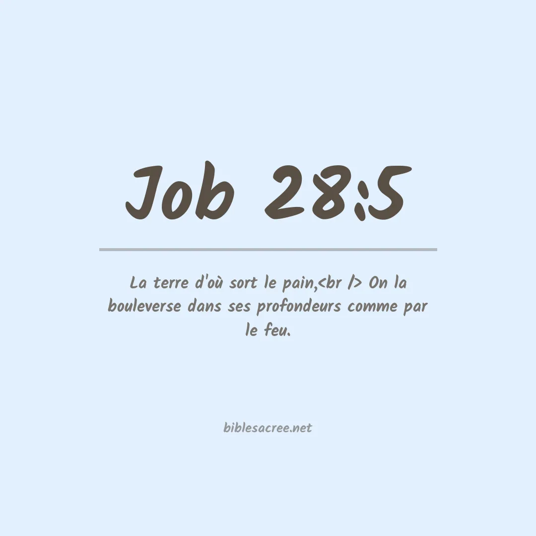 Job - 28:5