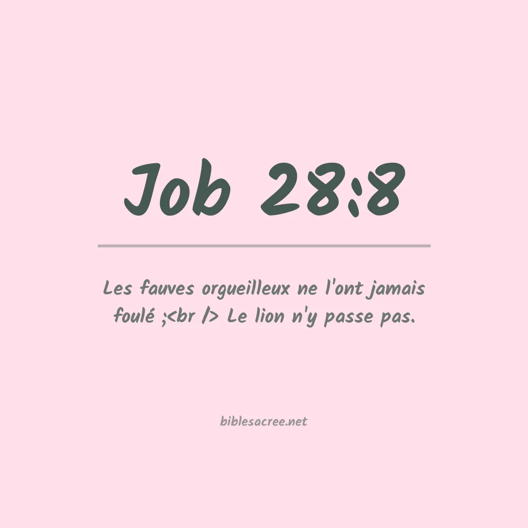 Job - 28:8