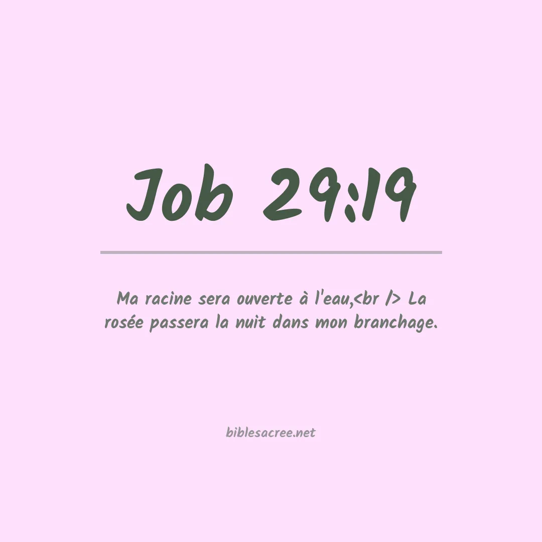 Job - 29:19