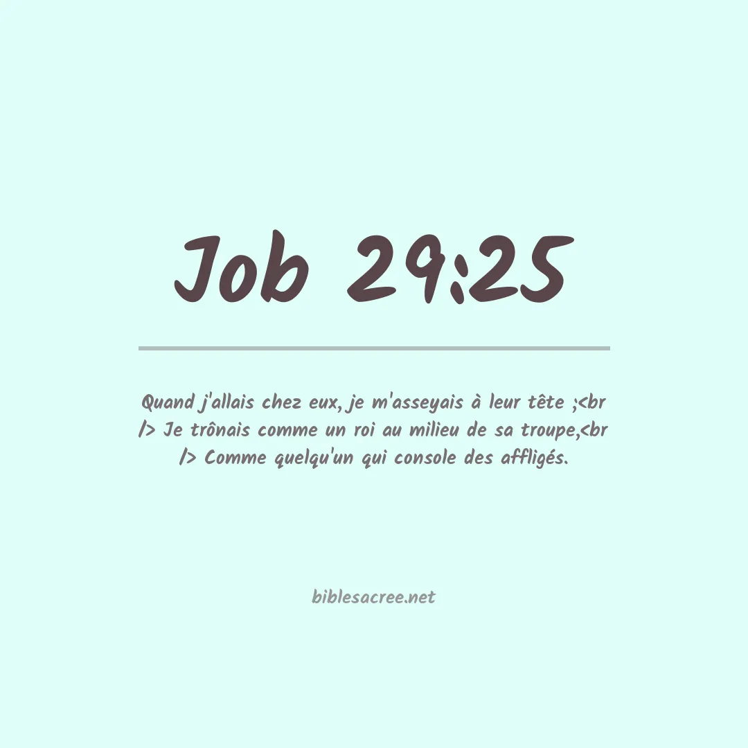 Job - 29:25