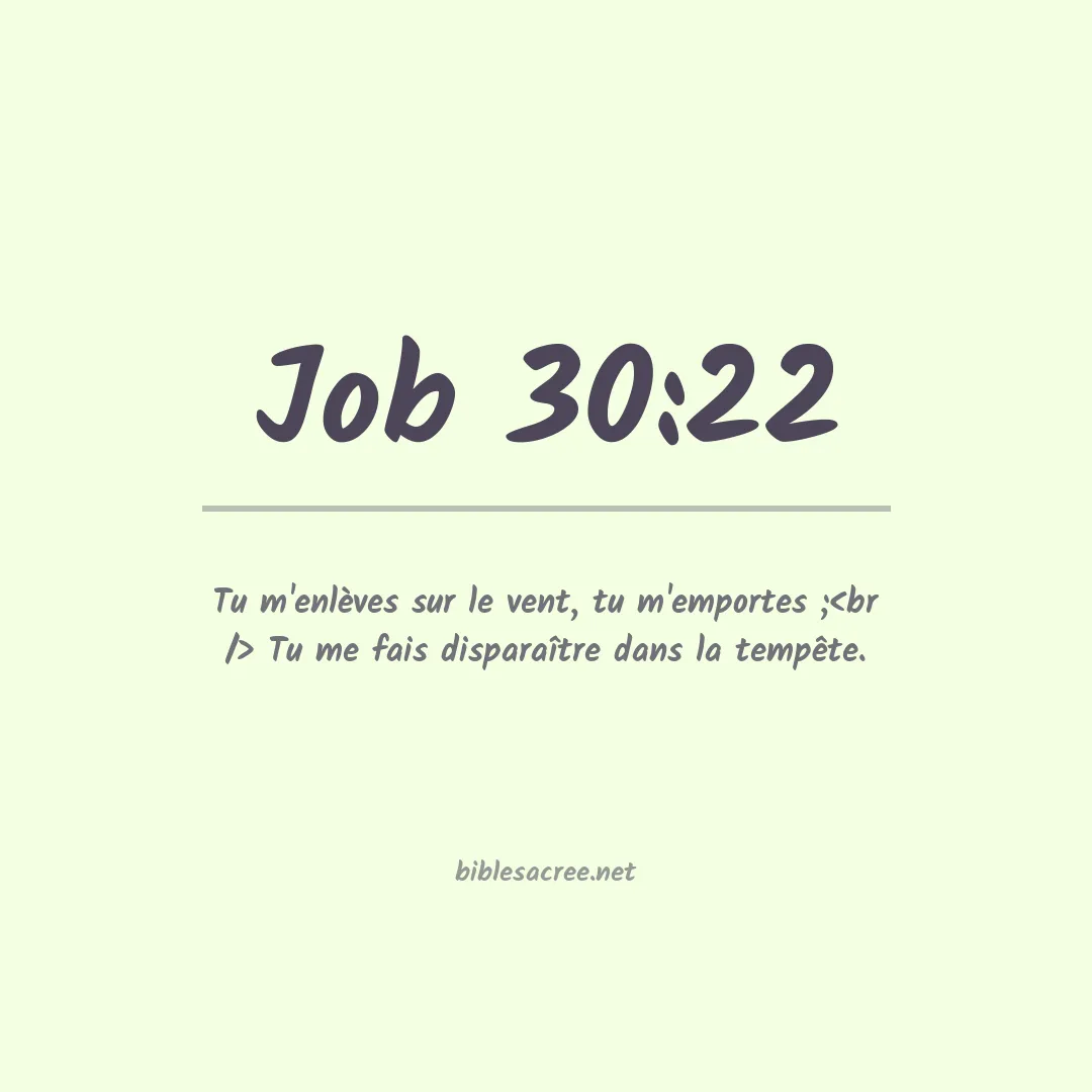Job - 30:22