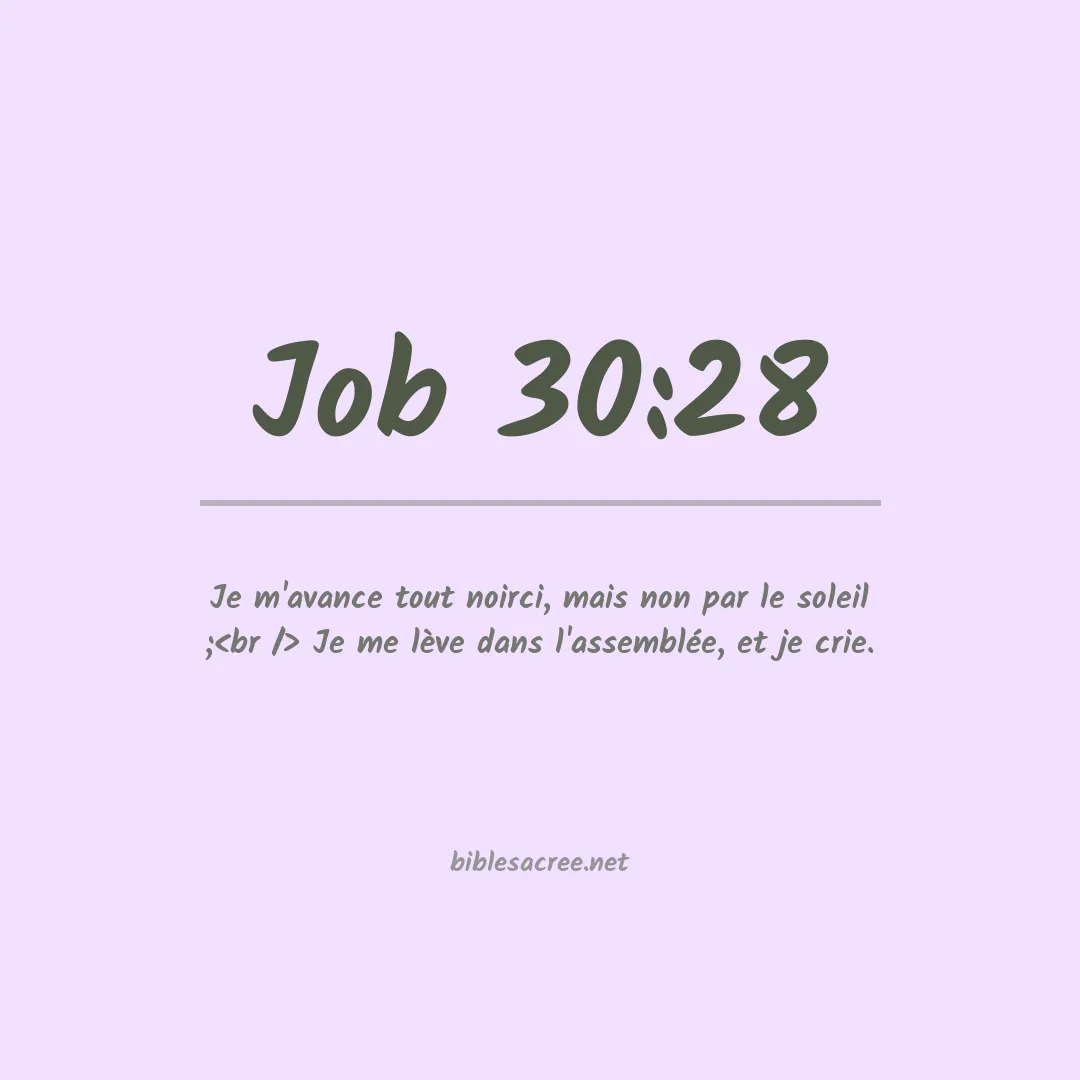 Job - 30:28