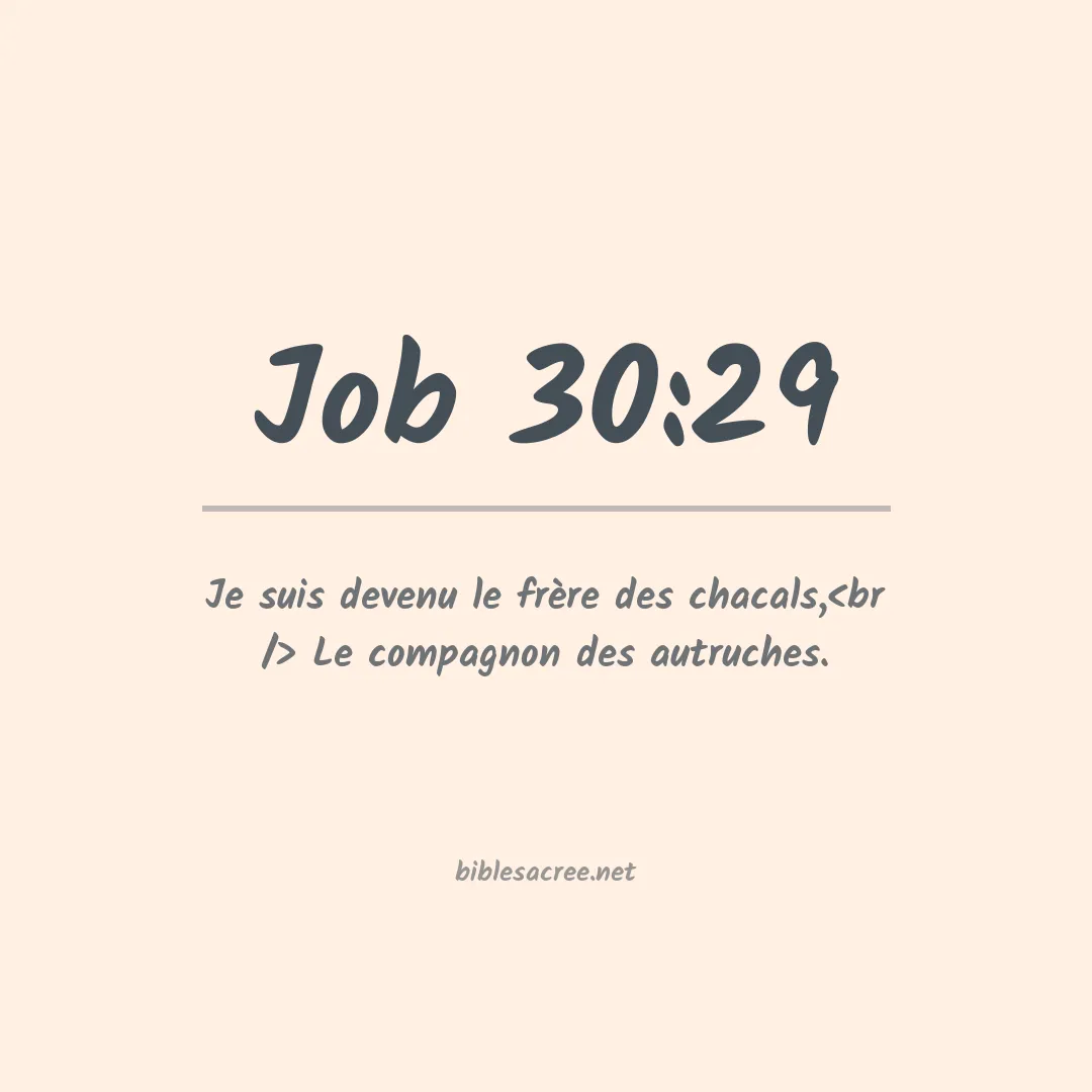 Job - 30:29