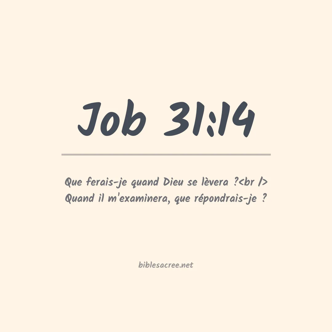 Job - 31:14