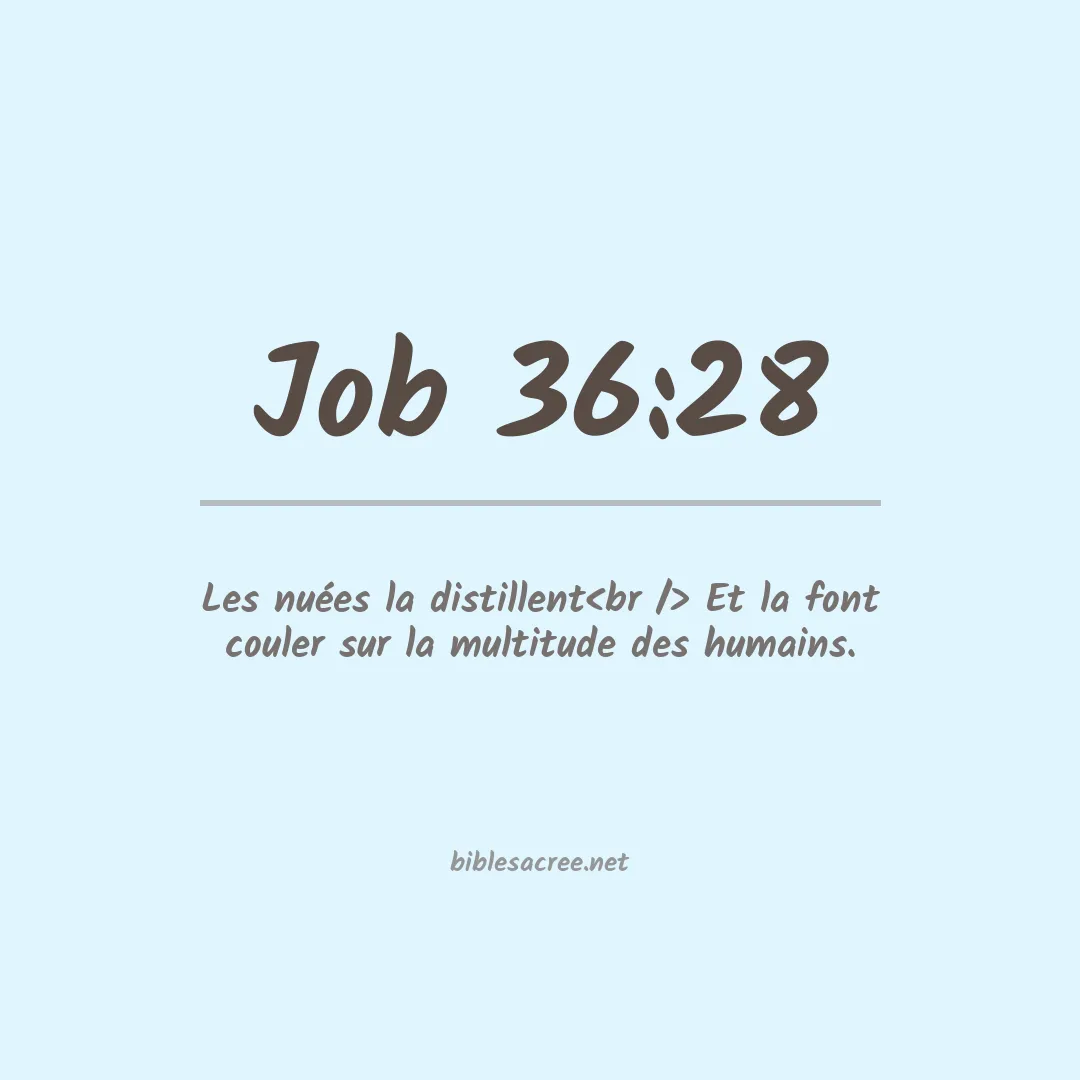 Job - 36:28