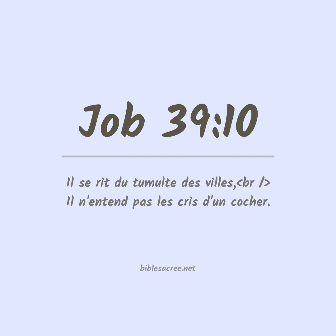 Job - 39:10