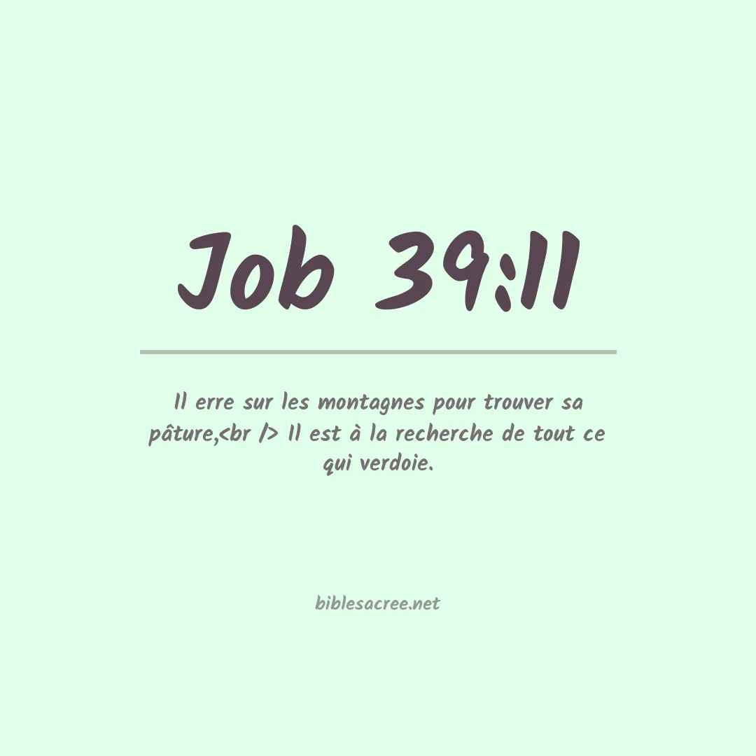Job - 39:11
