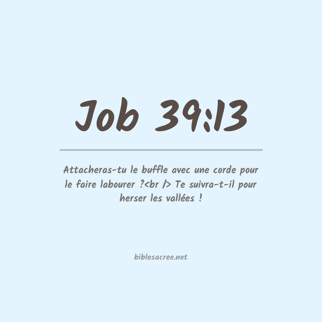 Job - 39:13
