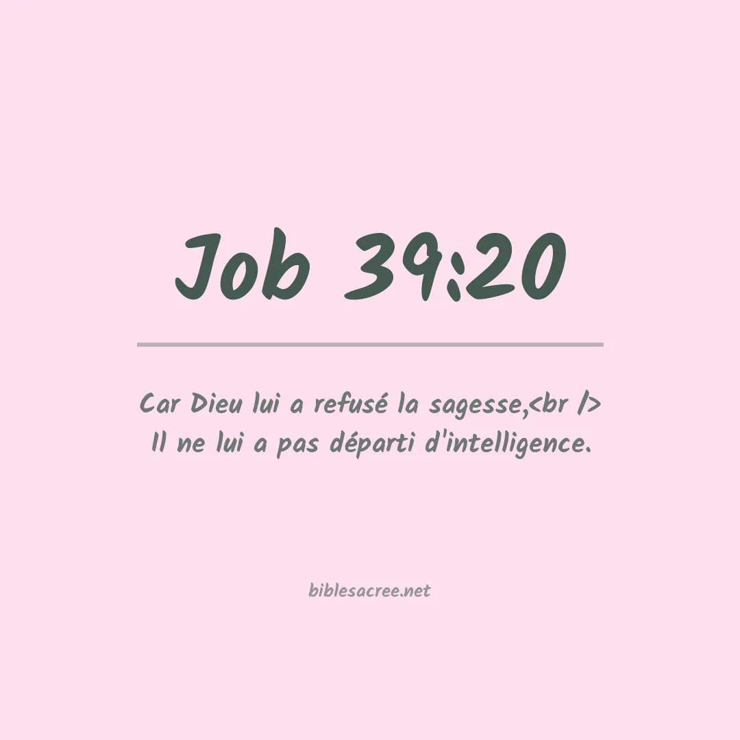 Job - 39:20