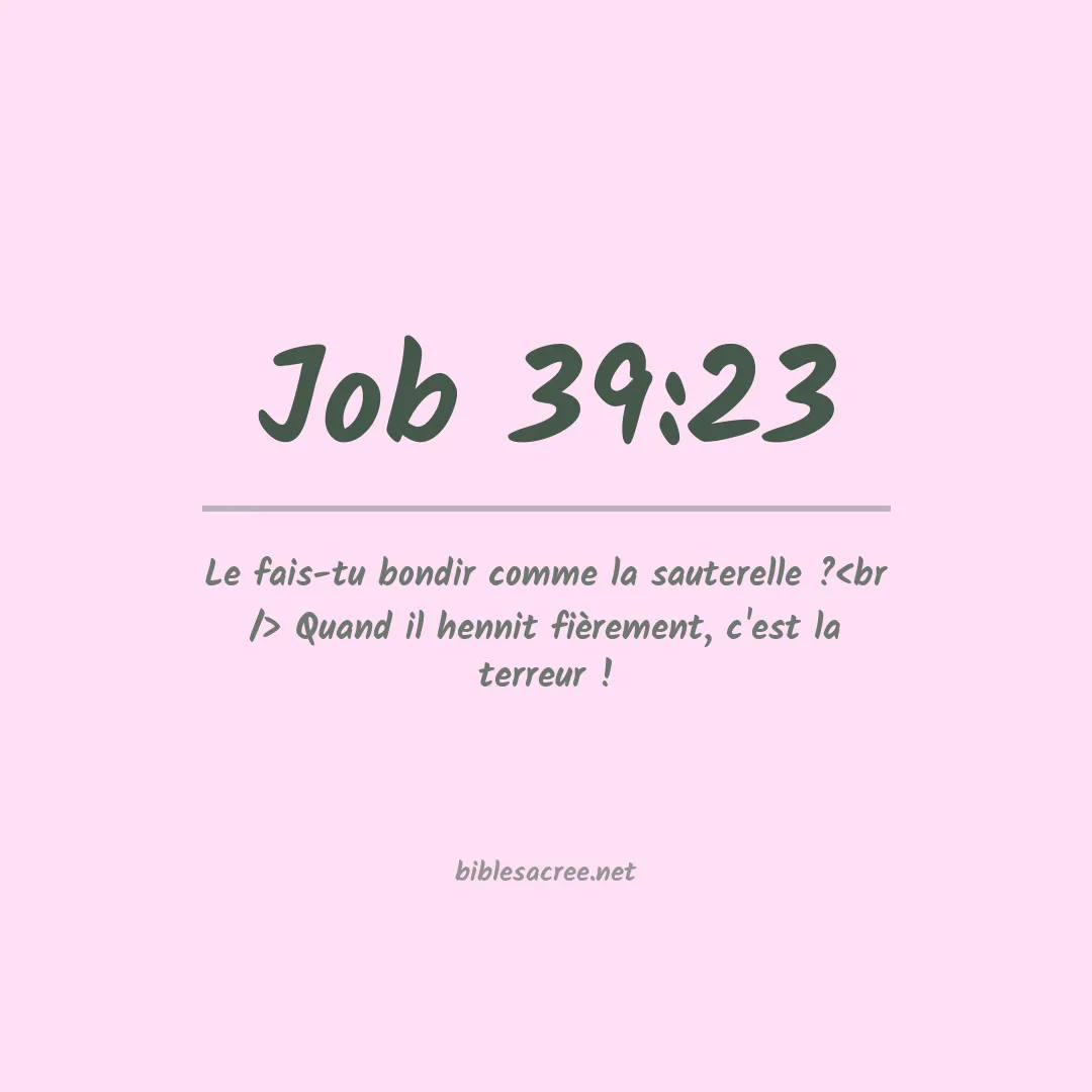 Job - 39:23
