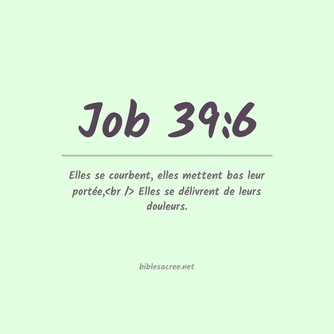 Job - 39:6