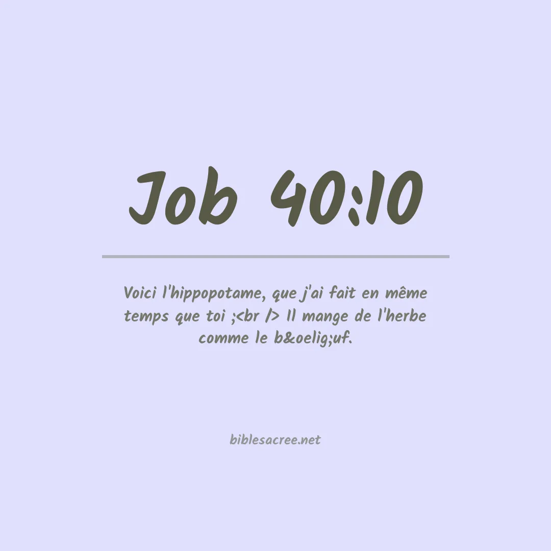 Job - 40:10