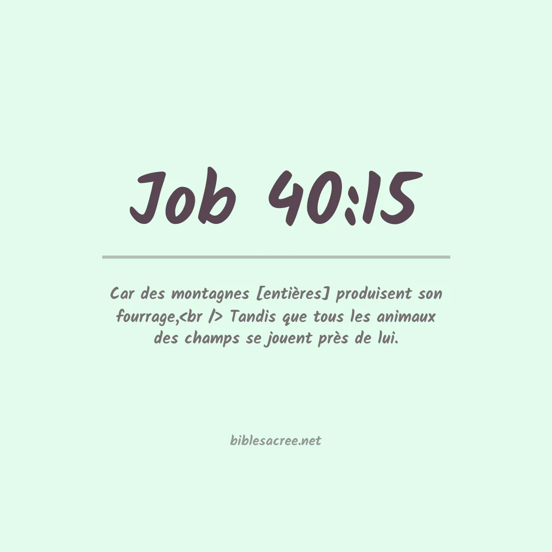 Job - 40:15