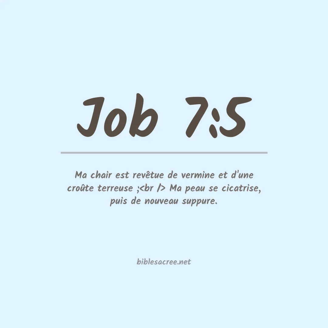 Job - 7:5