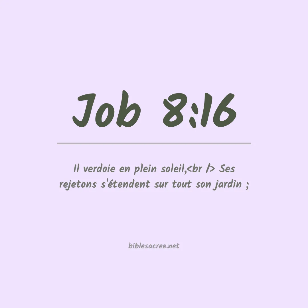 Job - 8:16