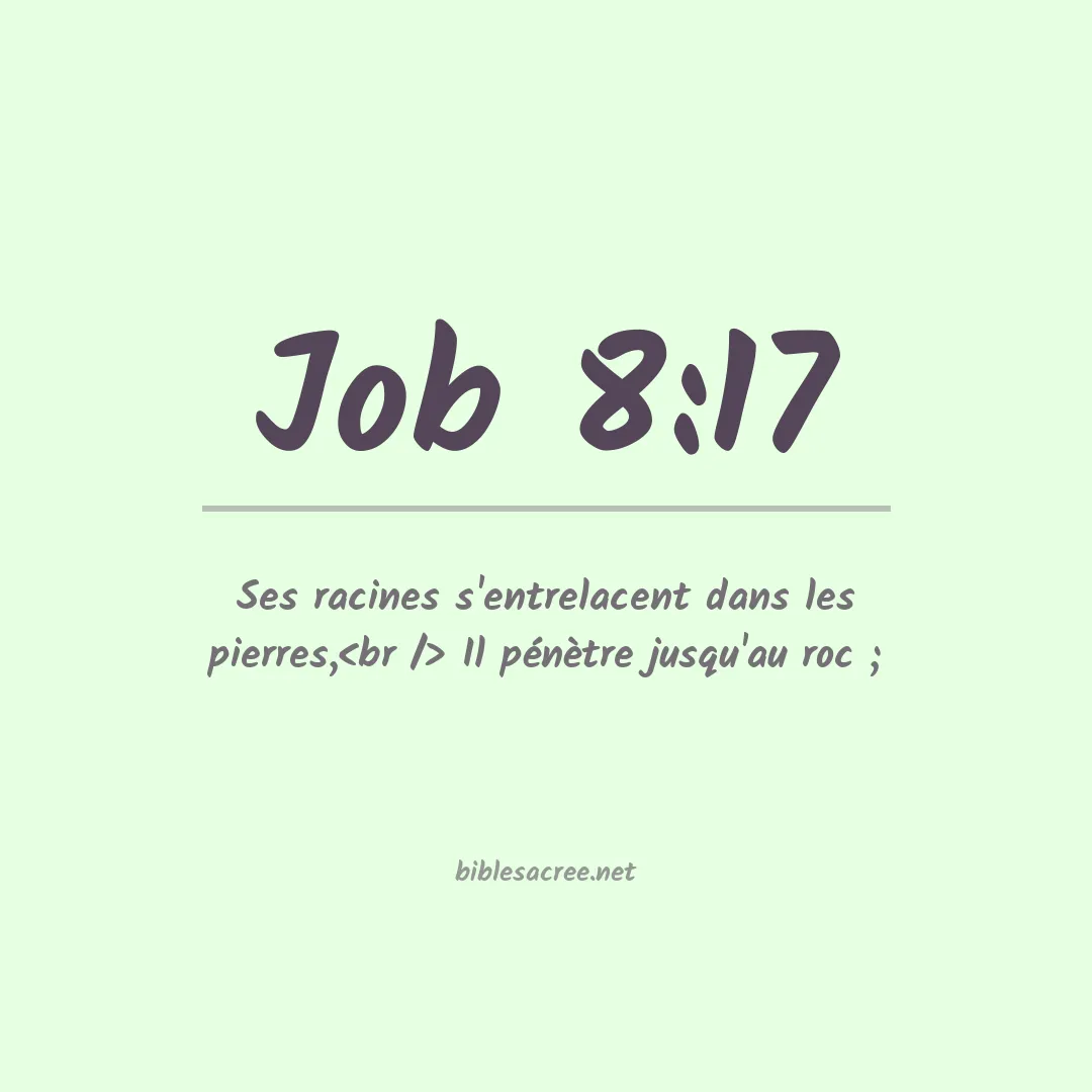 Job - 8:17
