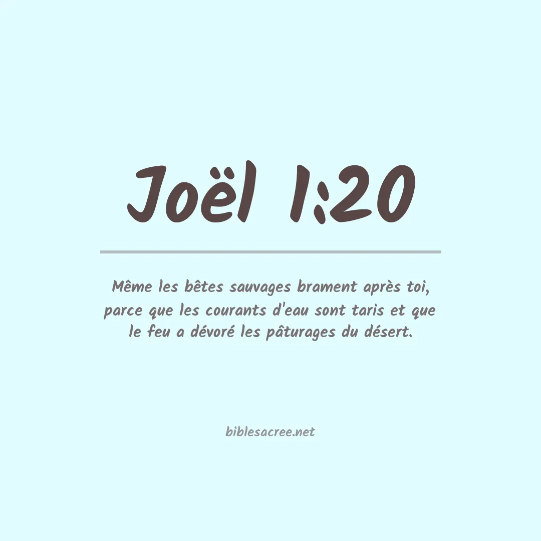Joël - 1:20