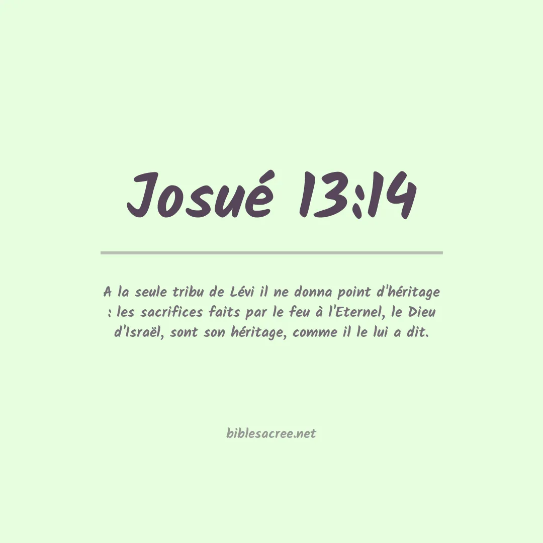 Josué - 13:14