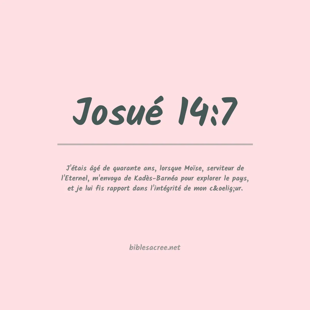 Josué - 14:7