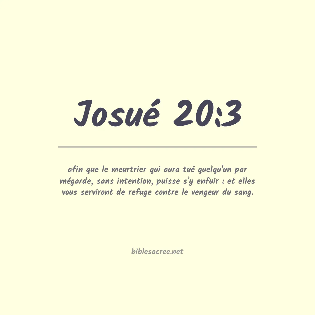 Josué - 20:3