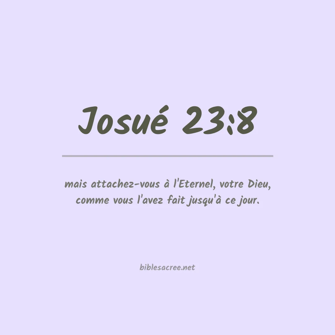 Josué - 23:8