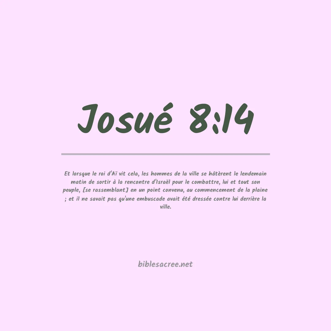 Josué - 8:14