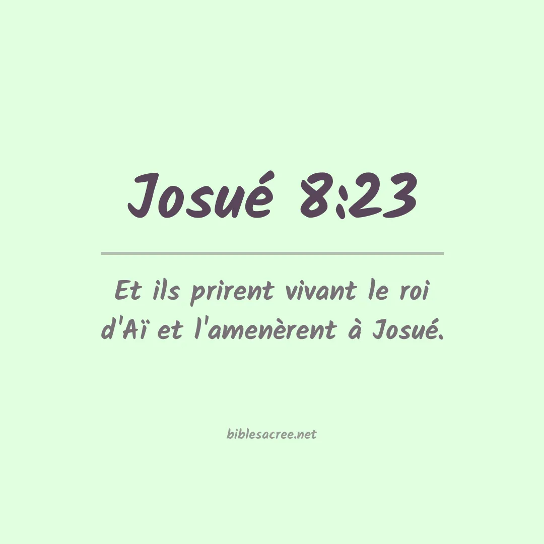 Josué - 8:23